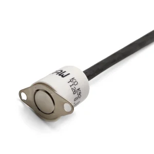 EAW IP64 Rated 170°C Thermostat Assembly